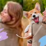 ImgUpscaler vs Magnific AI: Is the 20x Price Difference Justified for Game Texture Design? 4 ImgUpscaler